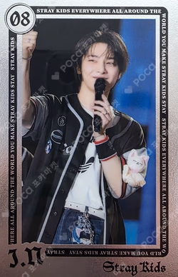 Stray Kids World Tour dominATE JAPAN RANDOM LIVE PHOTO CARD
