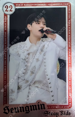 Stray Kids World Tour dominATE JAPAN RANDOM LIVE PHOTO CARD