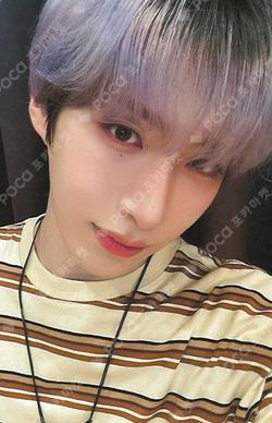 5x DEAR MY MUSE XION photocard image