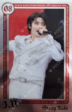 Stray Kids World Tour dominATE JAPAN RANDOM LIVE PHOTO CARD