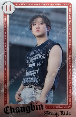 Stray Kids World Tour dominATE JAPAN RANDOM LIVE PHOTO CARD
