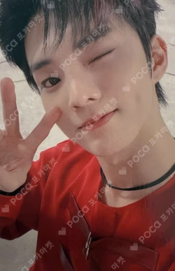 REVEAL Wolf Ver.