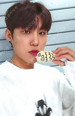 THE FUTURE IS OURS : FOUND MUSICART PARK WOO JIN photocard image