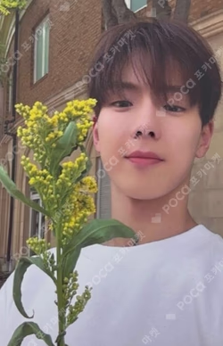 THE X XX VER. SHOWNU photocard image