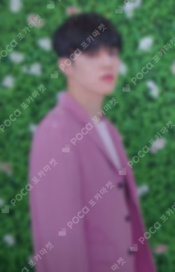 SEVENTEEN 2019 JAPAN TOUR 'HARU' TRADING CARD