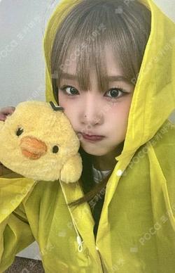 Blooming Wings BEATROAD YENA photocard image