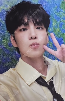 The DECADE Platform Album Nemo ver. Six on the Dice ver. WONPIL photocard image