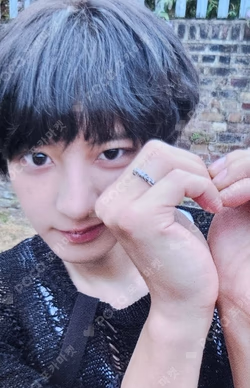 Upside Down EVERLINE CHANYEOL photocard image