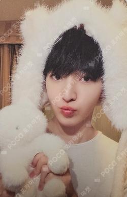 KickFlip Donghyeon photocard image
