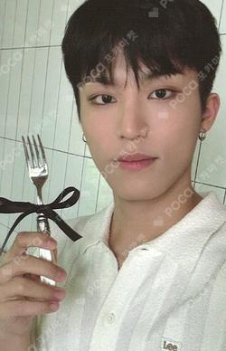 [TP4U] TREASURE TOGETHER KIT PARK JEONG WOO photocard image