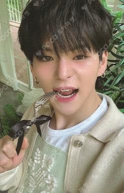 [TP4U] TREASURE TOGETHER KIT YOSHI photocard image