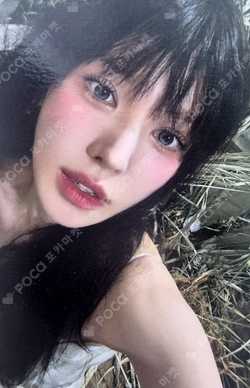 Cerulean Verge Photobook Ver.