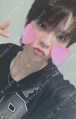 LOUD & PROUD EVERLINE BRIAN photocard image