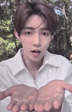 NEVER SAY NEVER RANDOM TRADING PHOTO CARD