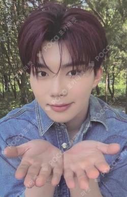 NEVER SAY NEVER RANDOM TRADING PHOTO CARD
