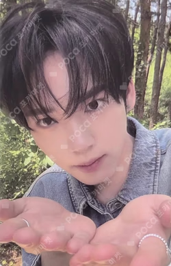 NEVER SAY NEVER RANDOM TRADING PHOTO CARD