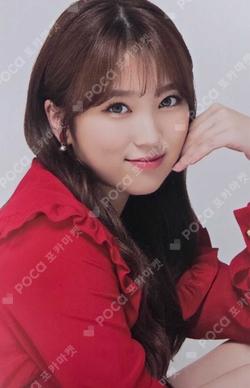 Twelve Random Photocard YABUKI NAKO photocard image
