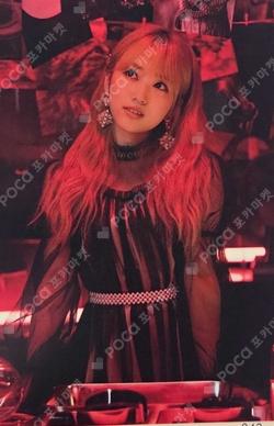Vampire Random Photocard