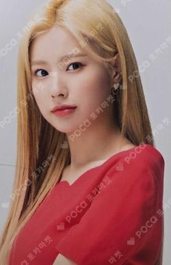Twelve Random Photocard