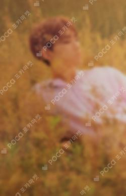 YOU MAKE MY DAY KiT ver. HOSHI photocard image