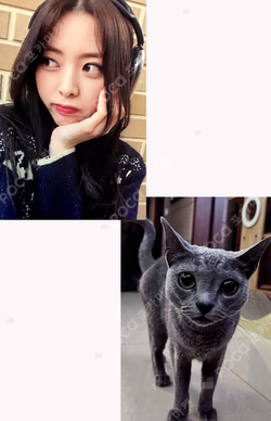 CHESHIRE WITHMUU YUNA photocard image