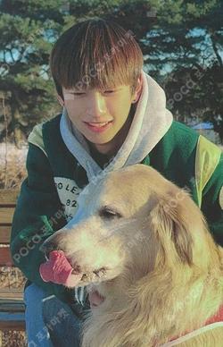 FORX CAFE EVENT TAEDONG photocard image