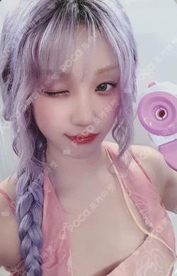 Motivation DEAR MY MUSE YUQI photocard image