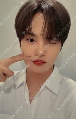 UPSIDE DOWN INTERASIA