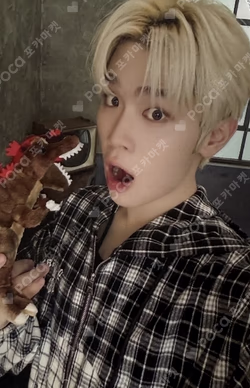 NEVER SAY NEVER SOUND WAVE