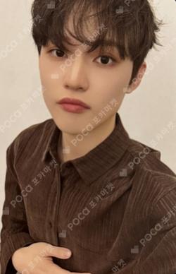 Dreamiez's Dream Forest POP-UP PLUSH PHOTO CARD HOLDER KEYRING CHENLE photocard image