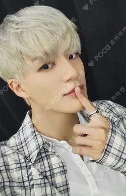 Dreamiez's Dream Forest POP-UP RANDOM TRADING CARD JENO photocard image