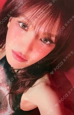 Cerulean Verge Photobook Ver.
