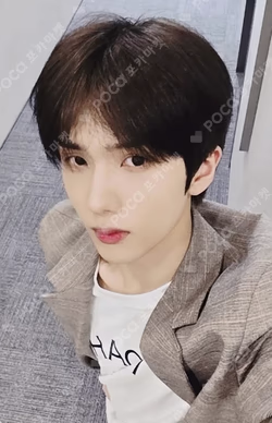 Dreamiez's Dream Forest POP-UP RANDOM TRADING CARD JISUNG photocard image