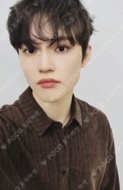 Dreamiez's Dream Forest POP-UP RANDOM TRADING CARD CHENLE photocard image
