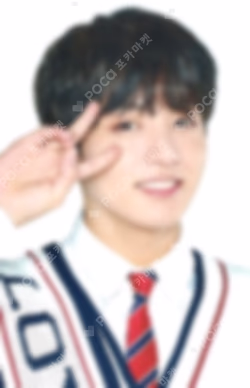 BTS JAPAN OFFICIAL FANMEETING VOL.4 ~Happy Ever After~ MINI PHOTO CARD