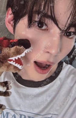 NEVER SAY NEVER SOUND WAVE SUNG HANBIN photocard image