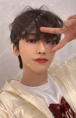Dreamiez's Dream Forest POP-UP PVC PHOTO CARD HOLDER JAEMIN photocard image