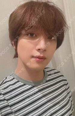 Dreamiez's Dream Forest POP-UP RANDOM TRADING CARD