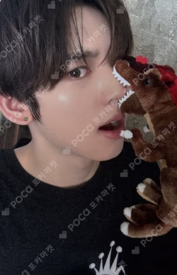 NEVER SAY NEVER SOUND WAVE