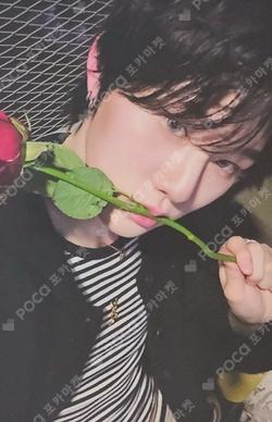 LOVE ANECDOTE(S) POCA ver. JIYUNSEO photocard image