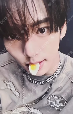 NEVER SAY NEVER Plus Chat Shop