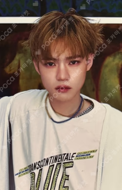 Dreamiez's Dream Forest POP-UP RANDOM TRADING CARD