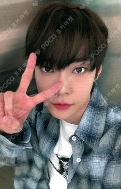 Soar KPOP MERCH DOYOUNG photocard image