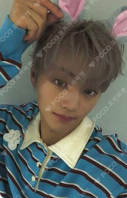 FLEX LINE ARAISE CHOIWOOJIN photocard image