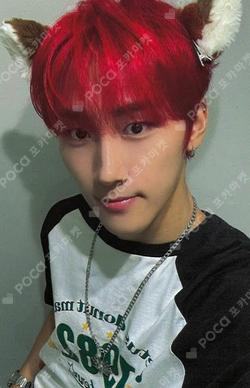 FLEX LINE ARAISE KIMMINSEOUNG photocard image