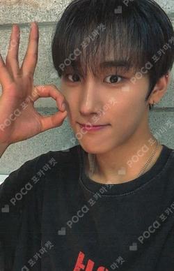 FLEX LINE fromm store