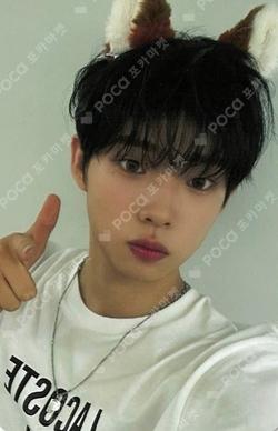 FLEX LINE ARAISE SHINYECHAN photocard image