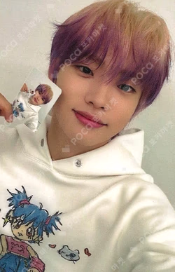 FLEX LINE EVERLINE
