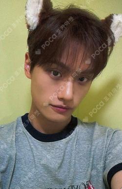 FLEX LINE ARAISE KUMJUNHYEON photocard image