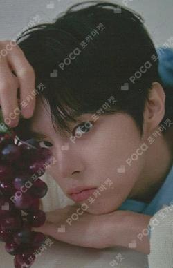2024 SEASON'S GREETING [Every piece of you]